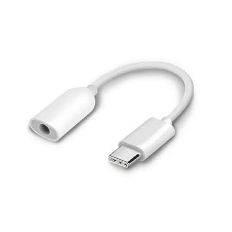 adattatore aux in usbc bianco in confezione bulk