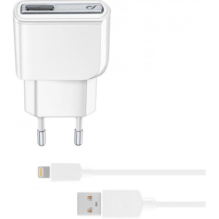 caricabatteria 5w completo di cavo  lighting certificato apple
