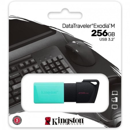 pen drive usb 256 gb