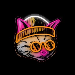 led wall neon cat dreamer multicolor connettore usb con regolatore di intensita\' dimensioni 295 x 18 x325