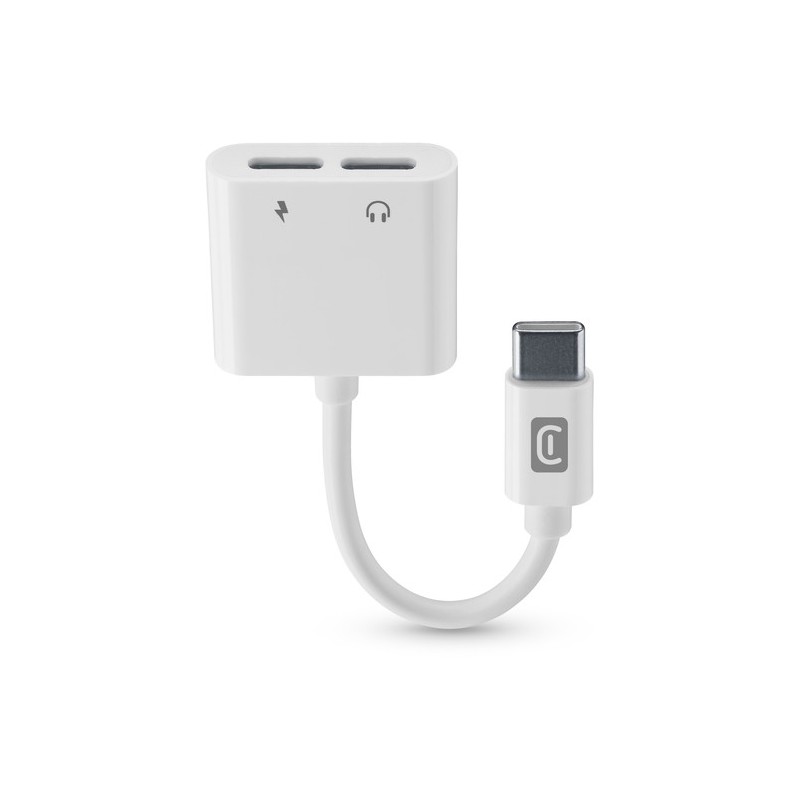 adattatore da usb-c a usb-c con connetore di rcartica usb-c bianco