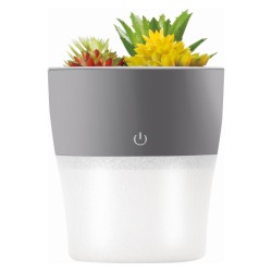 diffusore di aroma 150ml effetto decorativo piente grasse