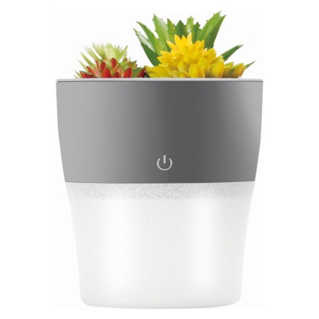 diffusore di aroma 150ml effetto decorativo piente grasse