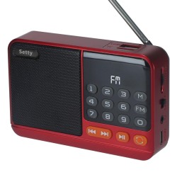 Radio FM con  Bluetooth speaker