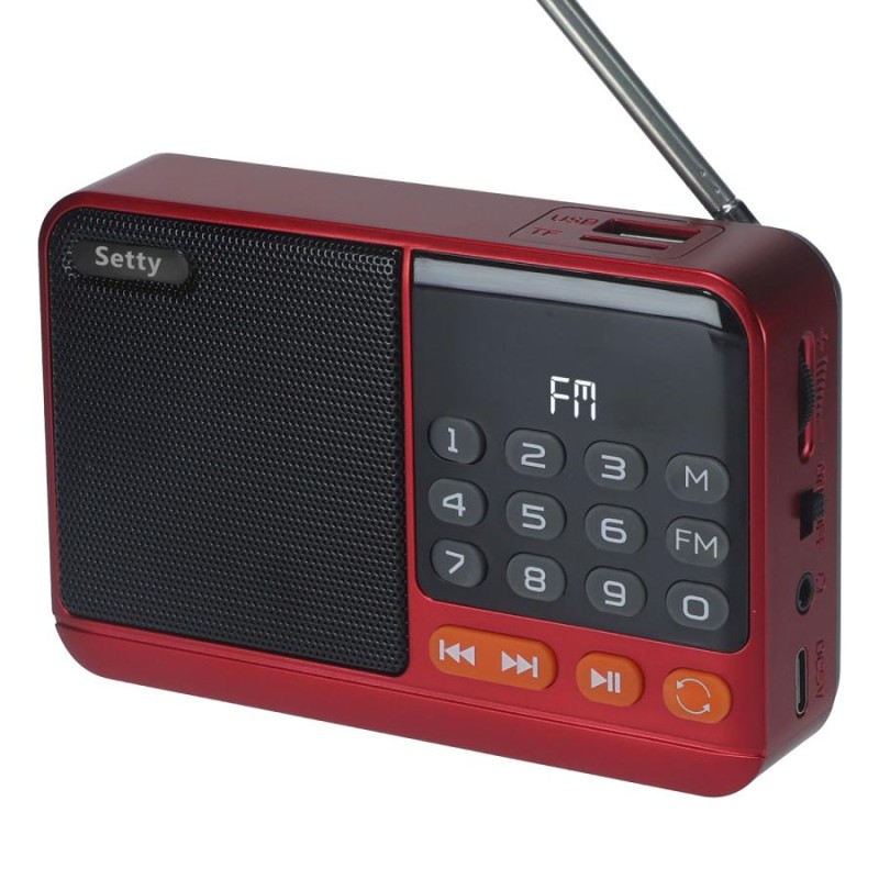 Radio FM con  Bluetooth speaker